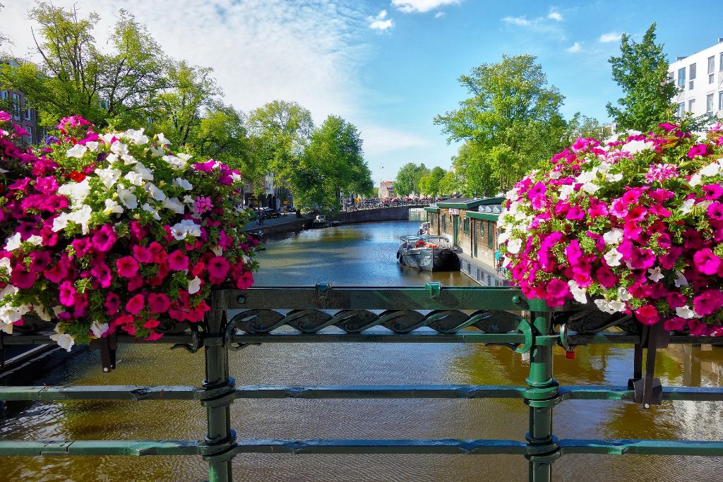 Met kleurrijke bloemen versierde brug over één van de kanalen in Amsterdam.